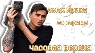 Ярик смется на протяжении 1 часа 46 секунд| Ярик бро нарезочка