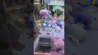 The UNBELIEVABLE Happened at a Squishmallow Claw Machine! 