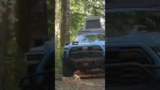Who poops in the woods?