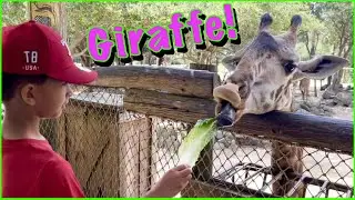 Learning Zoo Animals for Kids! With Masons Fun Day! | Educational video!!