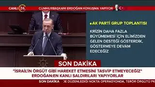 Эрдоган заявил, что отменил свои планы посетить Израиль. И заявил, что Хамас — не террористическая..