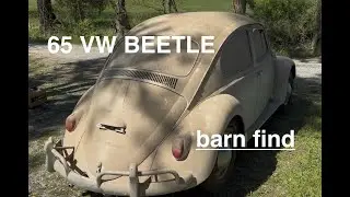 First look 1965 VW BEETLE. Looking for advice.