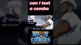 Can I Test A Combo In Blox Fruits