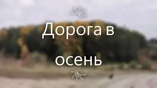 Дорога в осень