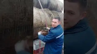 Привет Славе