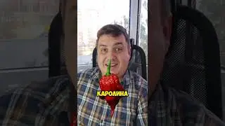 Когда Не Понял Шутки  #острейшина