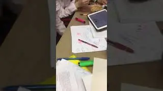 анатомия ромбовидный мозг №13. Занятие 1