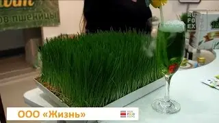 Сок ростков пшеницы и масло зародышей пшеницы производства ООО 'Жизнь' на выставке Veg life Expo