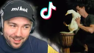 Reagerer På Uvanlige Tik Toks