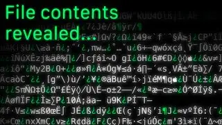 The END of The Minecraft Code No One Has Solved (almost)