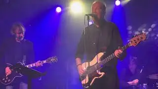 Tom Robinson Band Too Good To Be True LIVE 2024