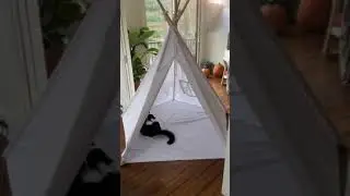 Jessie and Cody Tent