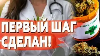 🍀ВЫ ЕЩЕ БУДЕТ "ЗА" ПОЛНУЮ ЛЕГАЛИЗАЦИЮ! Или как новый закон вступил в силу…