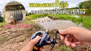 หนองลอกใหม่เจอปลายางไม้เดียว รู้เรื่อง!!