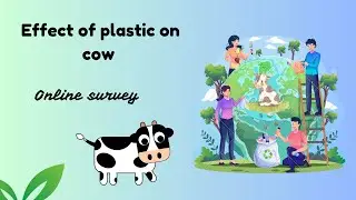 Effect of plastic on cows - Online survey