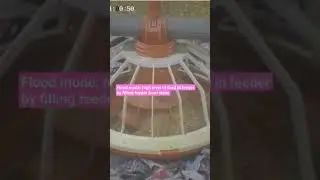 Manage feed level in feeder (Rugalar vs Flood mode) based on chicken age and other conditions