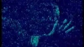 Tatort Intro