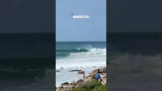 Bruce’s Beauties.. St Francis Bay South Africa #downtheline #surflife #surfing #waves #southafrica