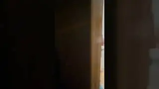 я буду ніжно мурликати ;) - відео від нашого замовника з подякою за резервне живлення #avante99