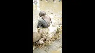 #flood #Uvira #Congo #sud #kivu #Rdc #inondatins INONDATION A UVIRA🇨🇩🌍