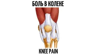 Упражнения при болях в коленях. Knee pain