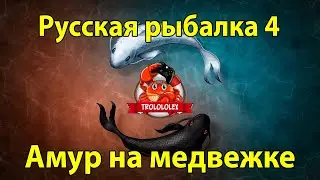 Русская рыбалка 4. Амур белый. оз.Медвежье.