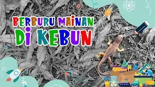 Mencari Komodo Di Kebun |  mencari mainan di kebun | mencari mainan | Mainan Anak | Kadal Mainan
