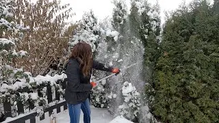 Removing Snow from Evergreens & Planting Hyacinth Bulbs in Pots! ❄️🌲🌸 // Garden Answer