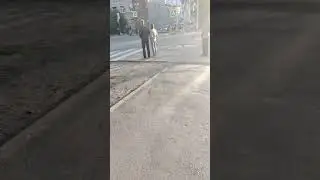 зачем нужен этот забор на Алеи если перекрёсток полностью переходить можно во все стороны