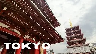 Tokyo: Exploring Japan's fascinating capital 2024