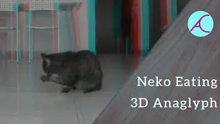 3D Anaglyph - Neko Eating