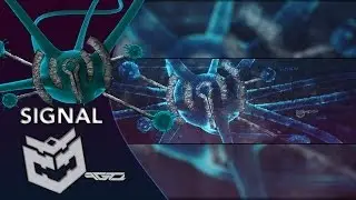 ~ Signal ~