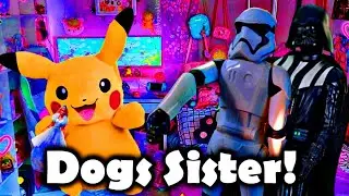 DVAD: Dogs Sister!