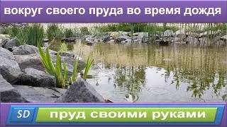 ПРУД СВОИМИ РУКАМИ//Плавательный пруд с биоплато