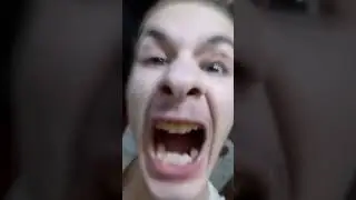 Иван Золо-скример спрингтрапа, i always come back