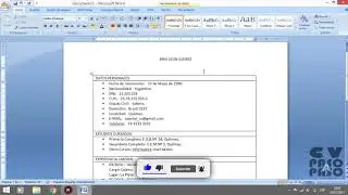 Curriculum Vitae Paso a Paso #4 + Link de Descarga