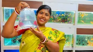 Dhanteras Special Marketing And Preparation
