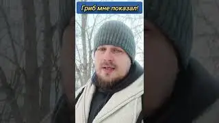 Гриб мне показал! 