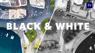 Quickly convert your video to black and white using Premiere Pro
