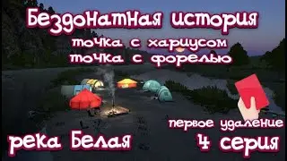 РР4 | Точка с форелью | Точка с хариусом | Бездонатная история | Первое удаление | 4 серия
