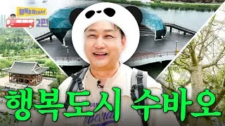 수드래곤이 수바오가 된 사연.mp4