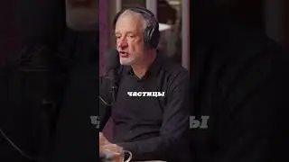Алексей Семихатов. Элементарные частицы. 