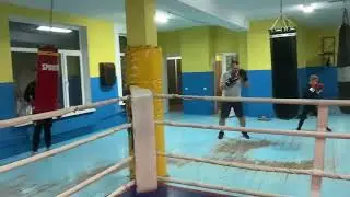 Бокс в Києві @boxing_ua