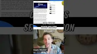 Sui Blockchain EXPLODES! Meme Coins & DeFi Fuel $7B Surge