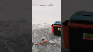 Рыбалка на озере. Ленинградская область, озеро Отрадное. 