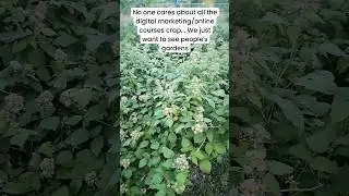 Summer is for the garden and being outside! #garden #outdoors #gardening