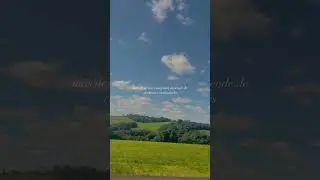 Conciencia ecológica