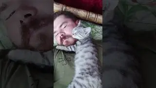 Тиха година