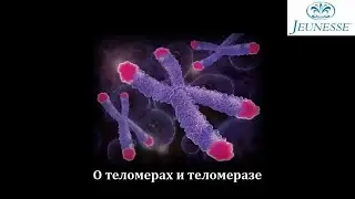 ТВ-НТВ, Мода на теломеры или как прожить дольше c "FINITI"