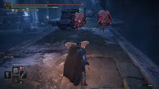 Belurat Gaol: A walkthrough as the Solitude Knight - Elden Ring DLC Shadow of the Erdtree
